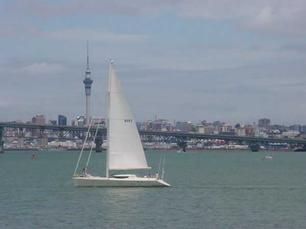 yacht spars nz